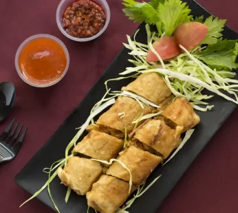 Veg Spring Roll